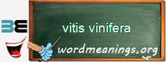 WordMeaning blackboard for vitis vinifera